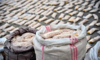 0ee48620 1a34 46c6 91ec 5a82e0769b0a