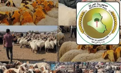 15141274 20d3 4ef3 921f 3c39af470489