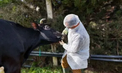 2fc5cb19 5448 4ee6 B295 Acc3575f5b55