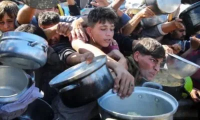 713f8b8b 3c5e 4782 9192 39d7c29204d2