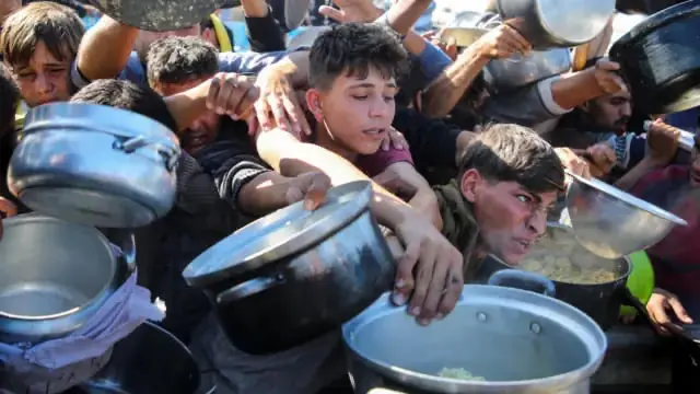 713f8b8b 3c5e 4782 9192 39d7c29204d2