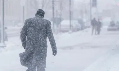 99655f3d 3e9b 46fa Bff4 70232d67b9d0