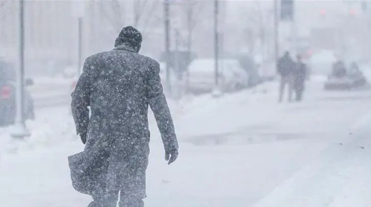 99655f3d 3e9b 46fa Bff4 70232d67b9d0