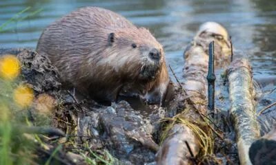 IMG 20250209 WA0143 1