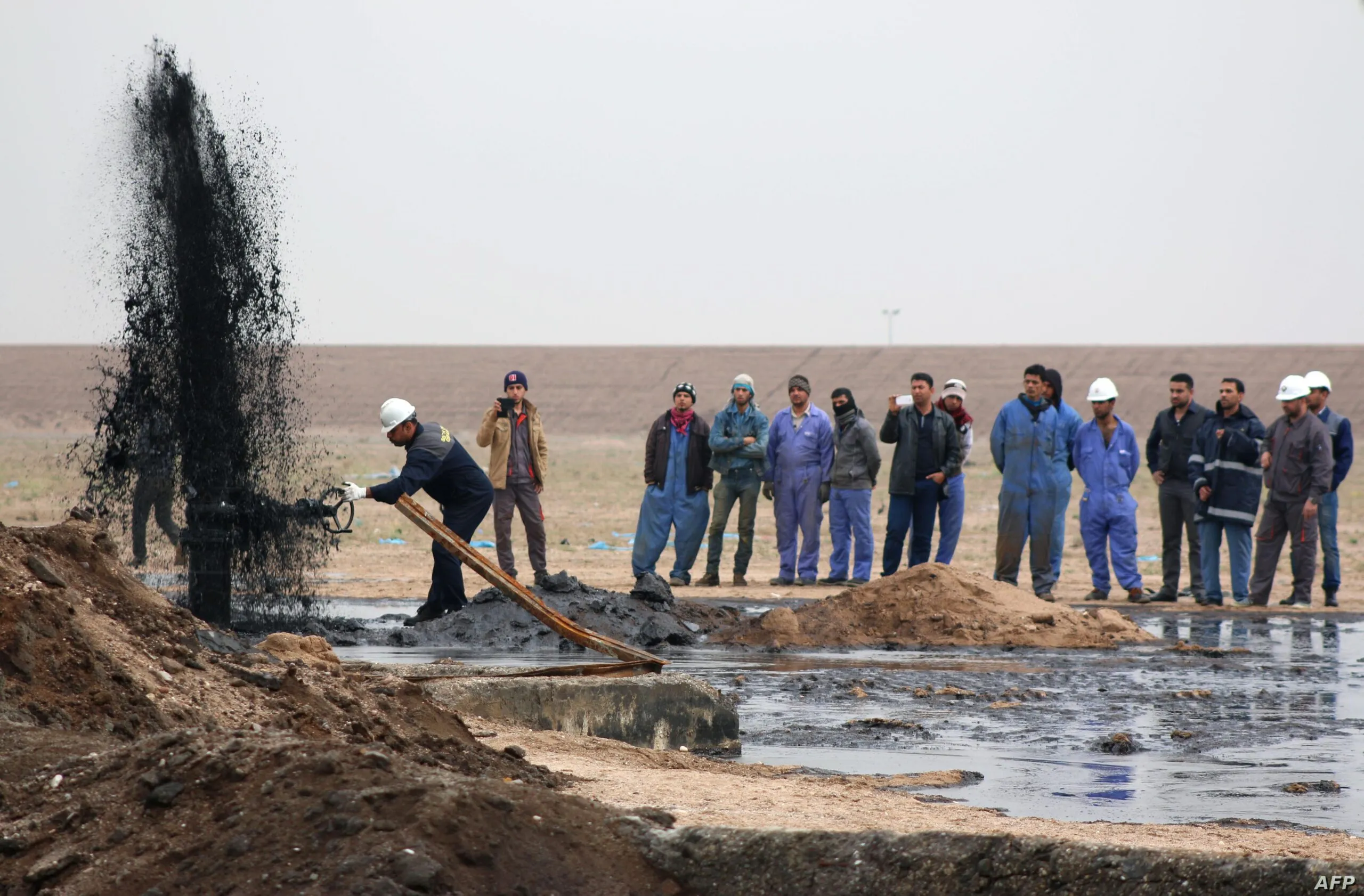 IMG 20250212 WA0033 Scaled