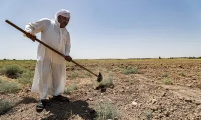 IMG 20250218 WA0310 1