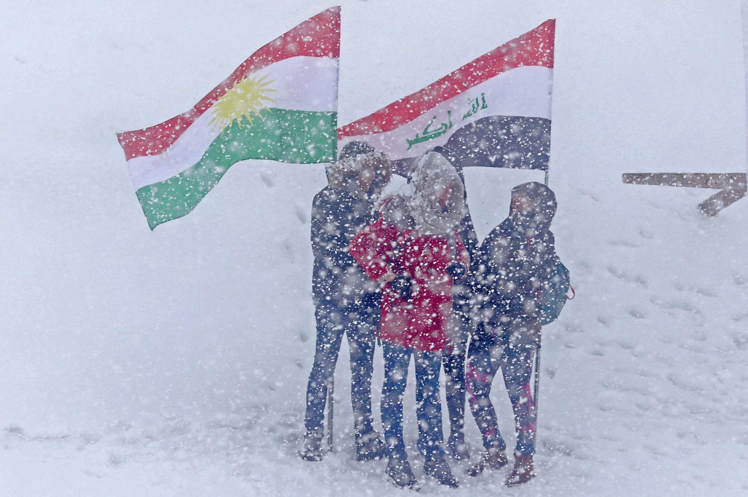 B7e4c464 F2d8 455f 820b 0cf102d52113 Scaled