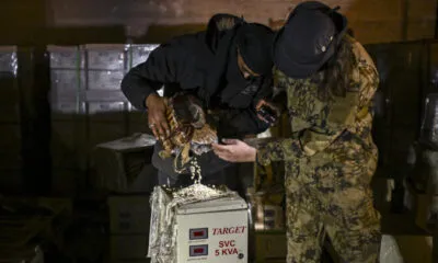 Bef5f683 1993 434e A89f 4b34a791507c