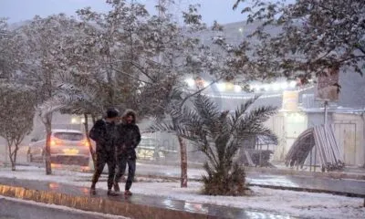 D3974f16 Ec16 4518 83bb 9be45baebd83