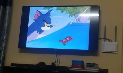 F154f5ed 0a99 40ae B2a3 63e0f5b4b6ce 1