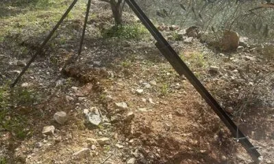 04401dfa 1d29 442d 9db9 Aaf11bd7c213