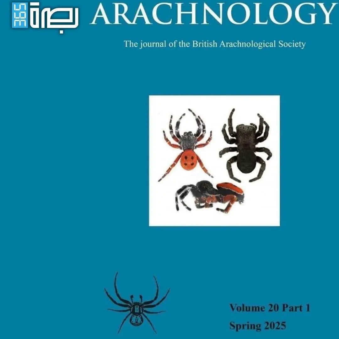 321dc89f 0cfe 499d A448 24e213dcd16e