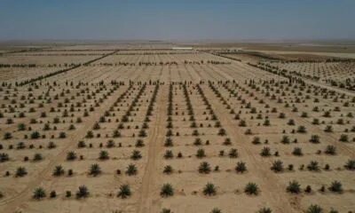 9866ddc5 7fdc 4044 8928 4caf5495656f