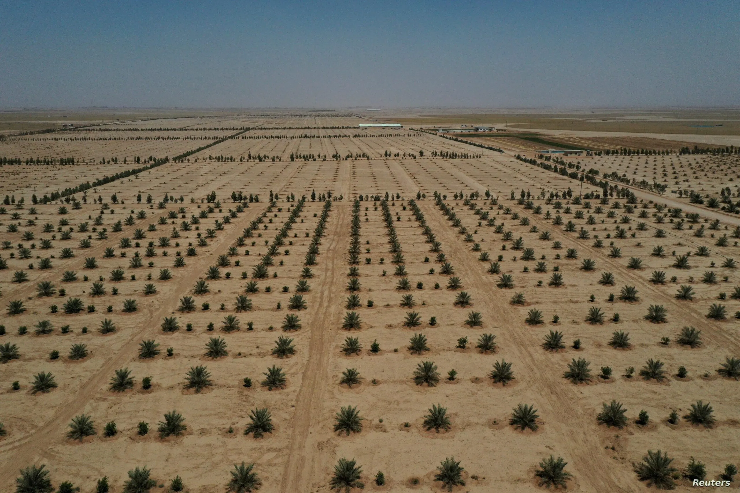 9866ddc5 7fdc 4044 8928 4caf5495656f Scaled