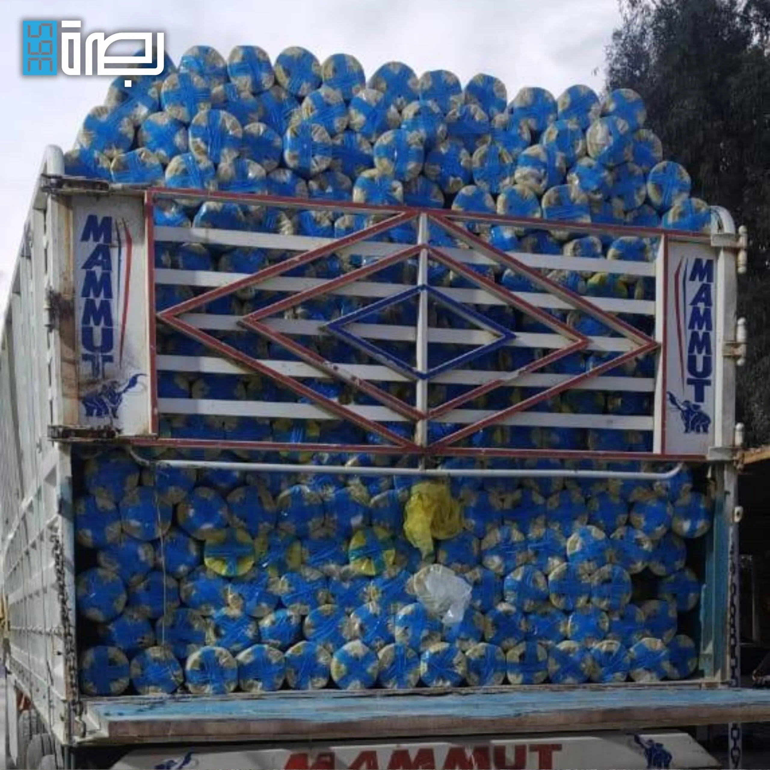 IMG 20250330 WA0117 Scaled