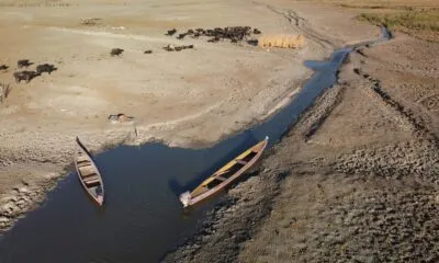 A21f045e 4de0 46c4 Bdde 366dced5e7ec