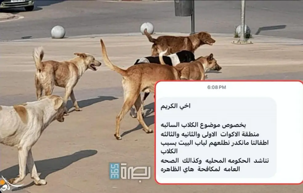 Af6f8ad8 B1f5 42c5 8276 21c2019e14fa