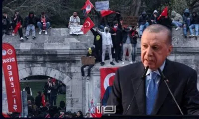 Ed38ab3d 164a 4d03 A8e7 5ce0e6ec04d3