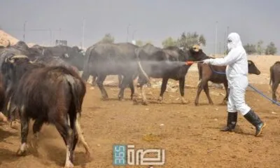 16f1ccc0 8fe8 4d97 A268 C670f69f5687