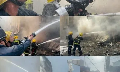 1882a3f0 C5c2 4bee 829d 7248eb666e65