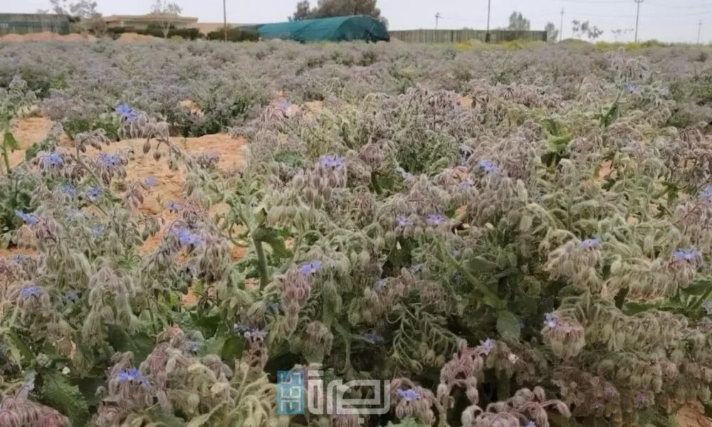 20fd4705 66a5 49c7 835a F1498447da24