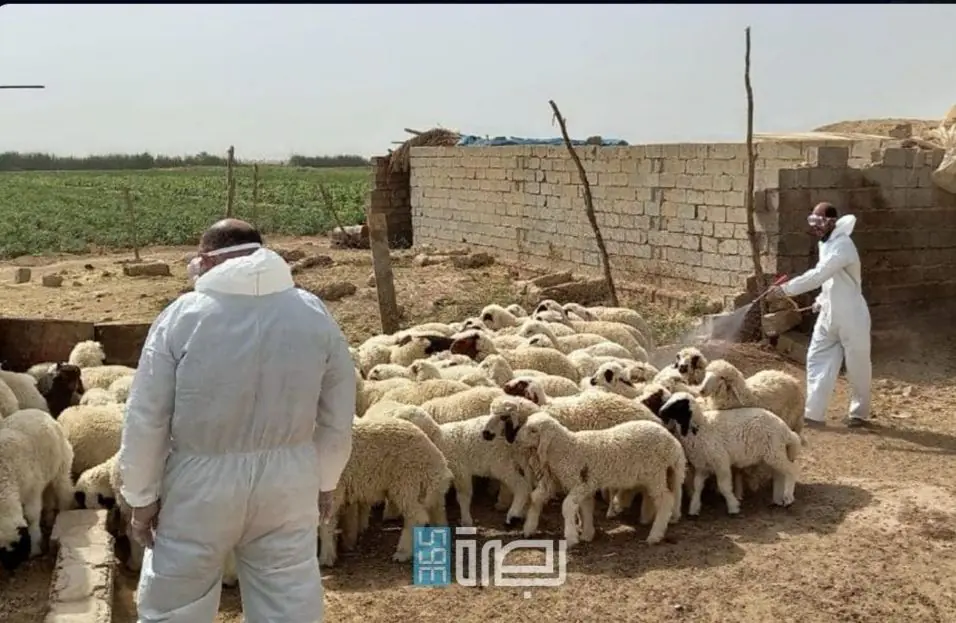 5fa38499 B98d 4678 Acf4 519e4f256012