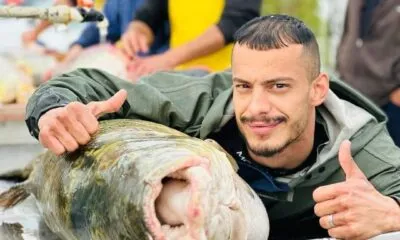 660049fc 27c0 41fe 9416 36609393fa27