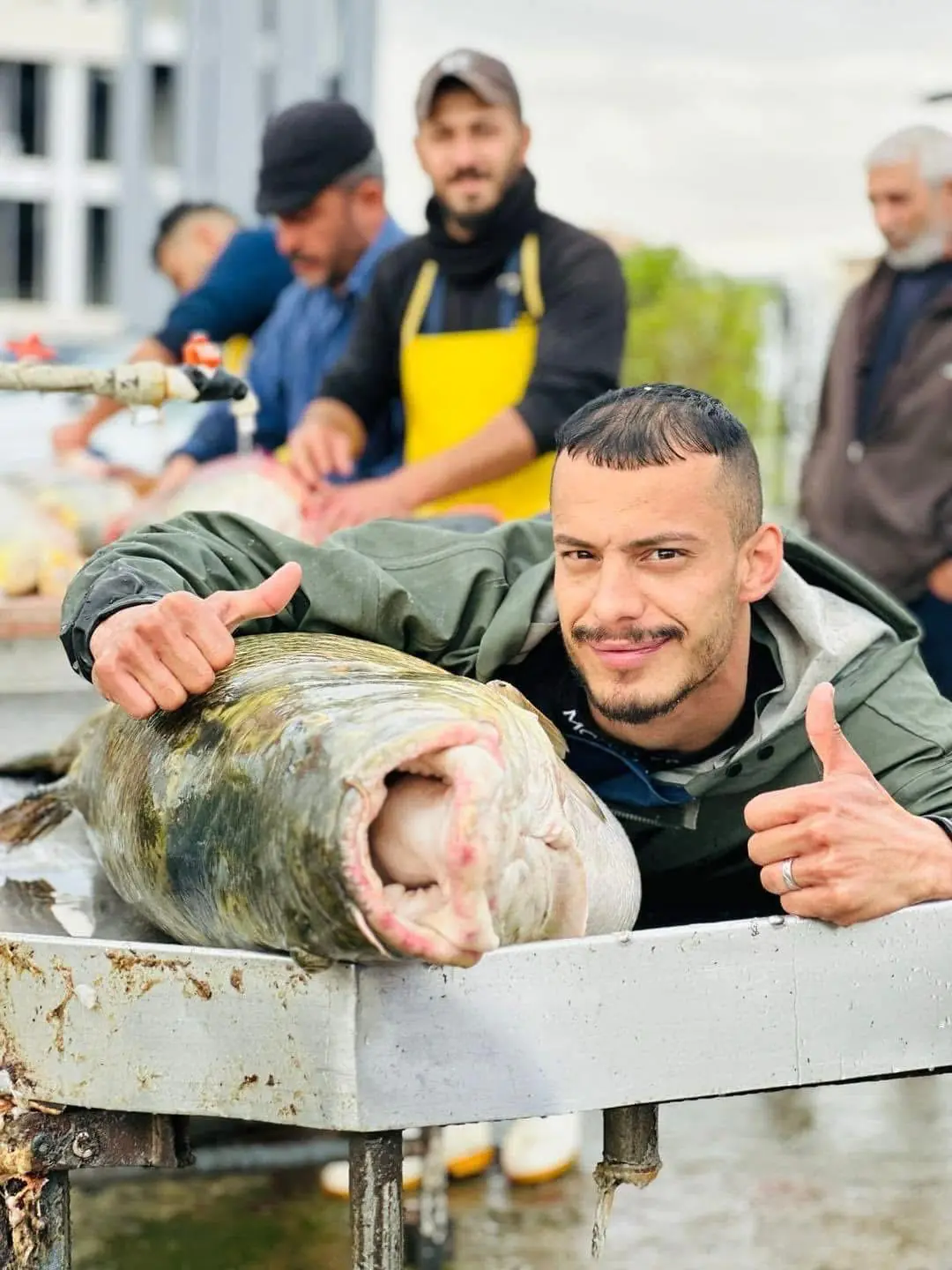 660049fc 27c0 41fe 9416 36609393fa27