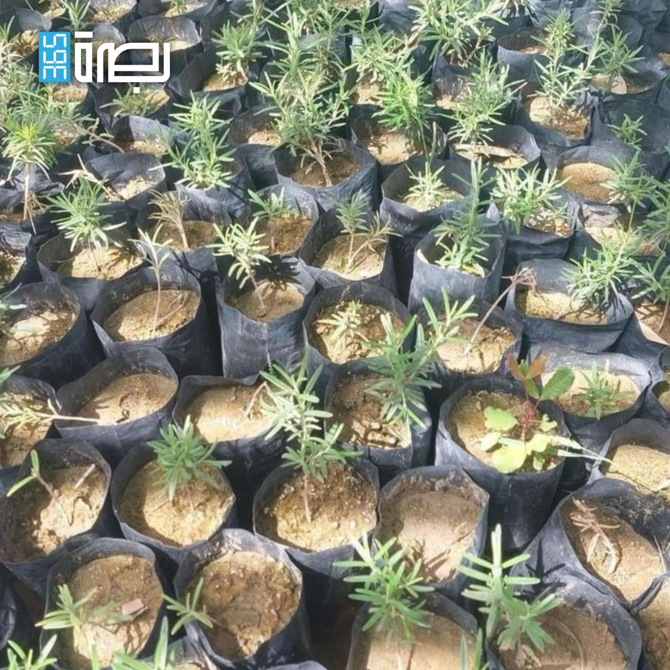 73a73f06 4db7 457b A1ff F11a62a53c32 Scaled