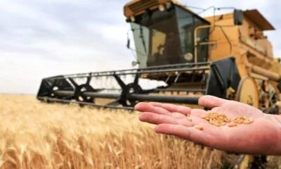 839b38f7 E0a4 4bee 850b Dee4859b3ca5