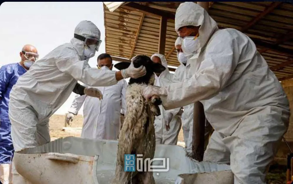 8652ba99 A488 46a9 86e8 783d8a300cd3