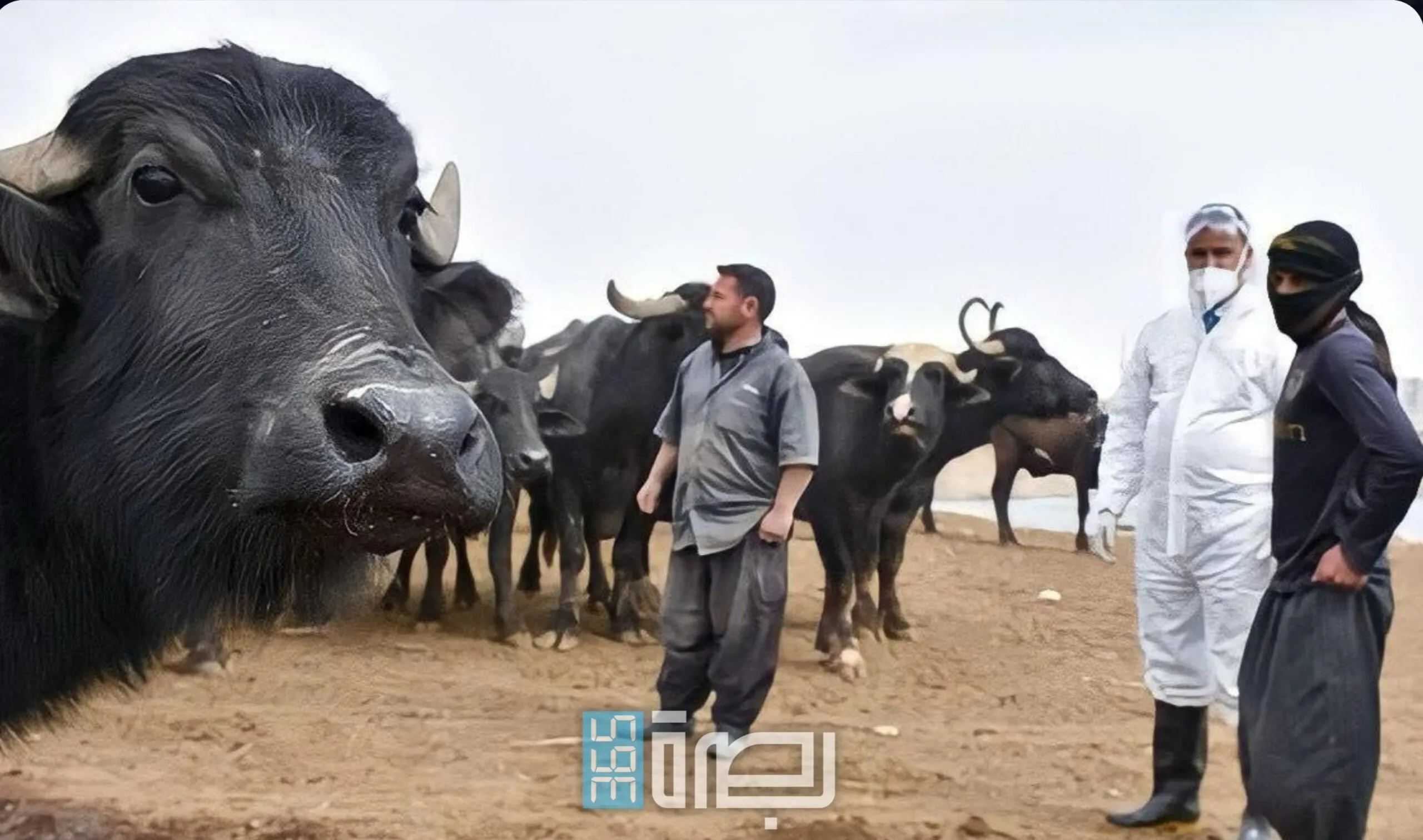 IMG 20250423 WA0121 Scaled