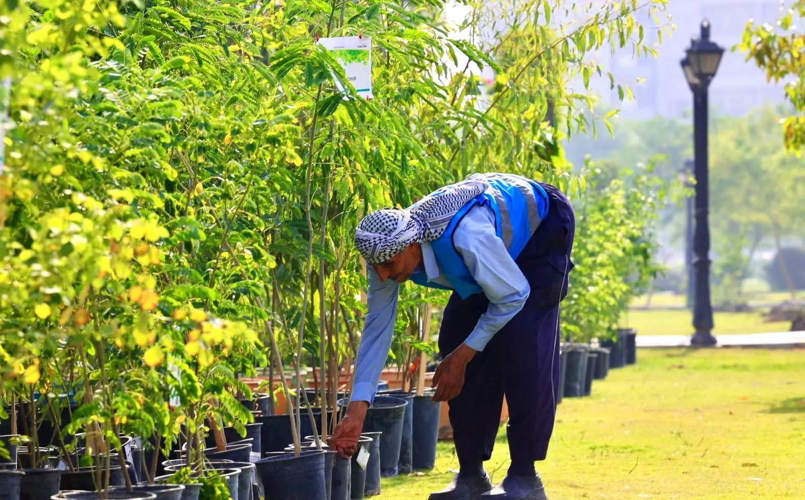 Ab9ffad1 5b0c 4a28 965d 8675552f5658