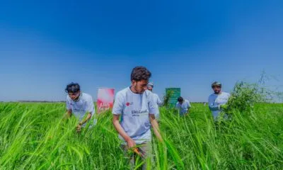 D91379cd 513f 4a1a A5eb 9fe0bfd3a9b2