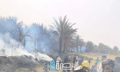 12b6c6fc 6c98 43a0 Af66 C4c21594fbd0