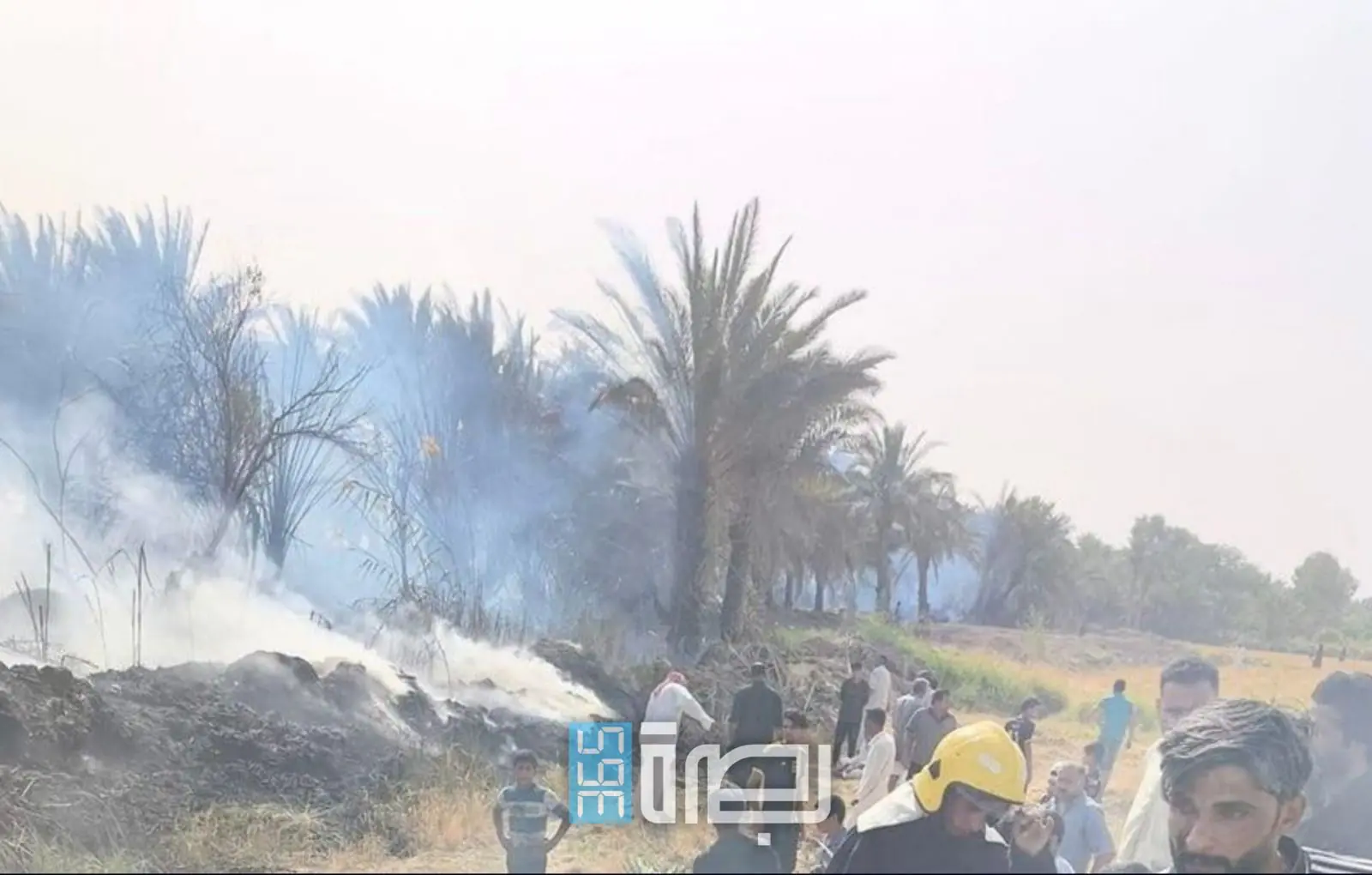 12b6c6fc 6c98 43a0 Af66 C4c21594fbd0