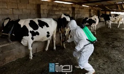 29c2d553 5c20 47ab A7be F4fc6b3d7ce3