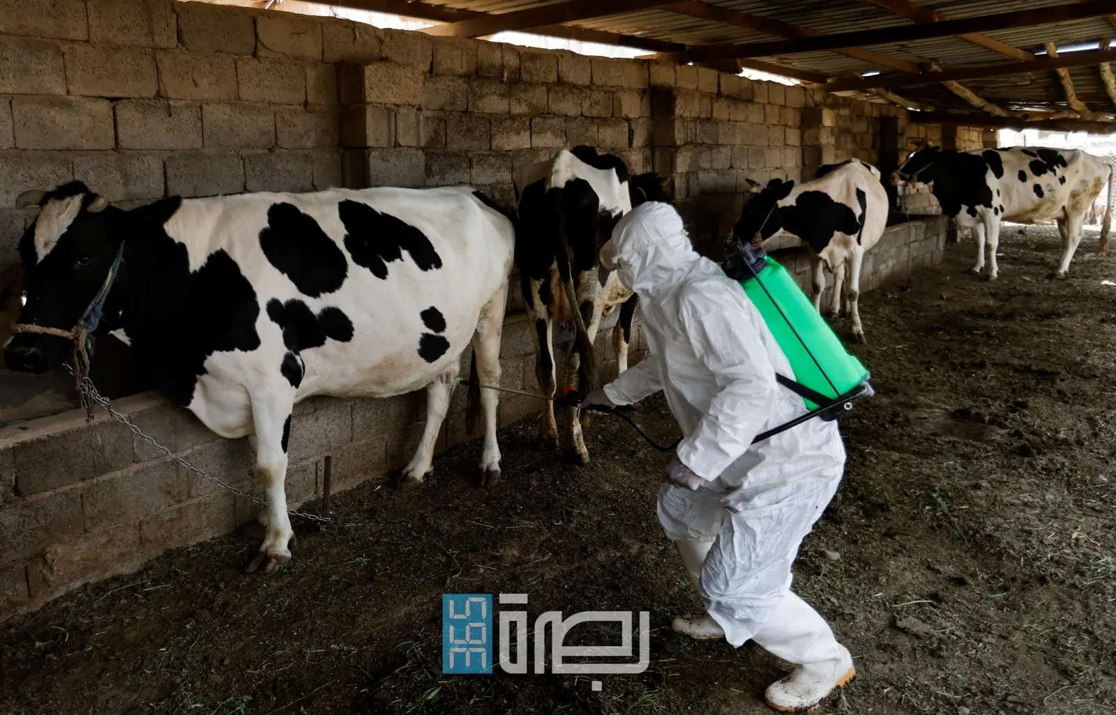 29c2d553 5c20 47ab A7be F4fc6b3d7ce3