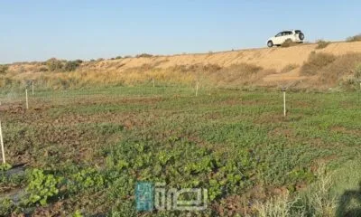 33bbf5ca Ea79 40c5 8ef3 2f96719f8e67