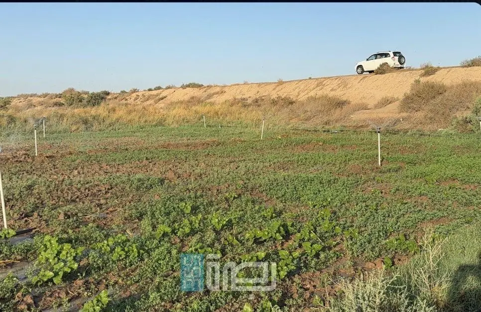 33bbf5ca Ea79 40c5 8ef3 2f96719f8e67