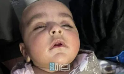 556588e2 53d0 4986 B446 C4f5103e73e5