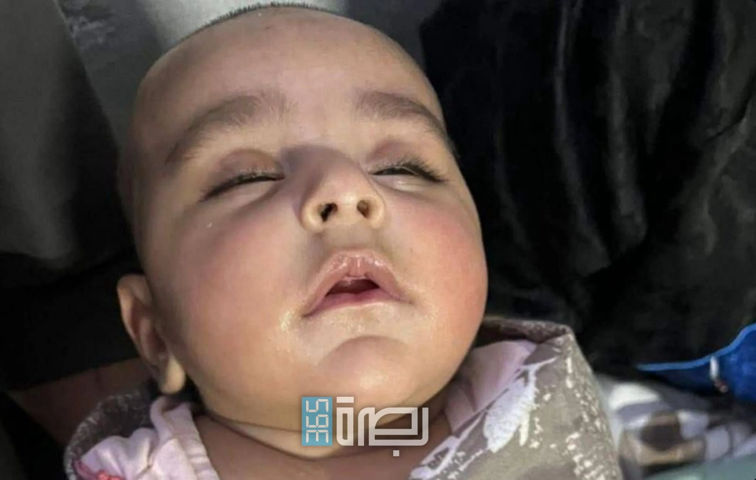 556588e2 53d0 4986 B446 C4f5103e73e5 Scaled