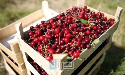 7f378328 72e6 456f B0b9 59dab7e5dbc4