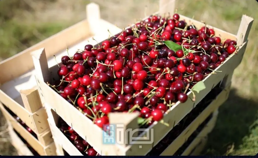 7f378328 72e6 456f B0b9 59dab7e5dbc4