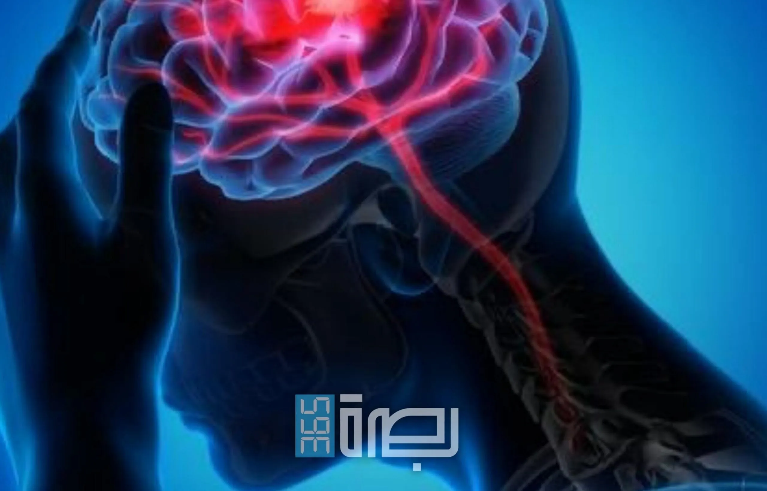 IMG 20250513 WA0059 Scaled