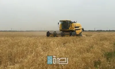 WhatsApp Image 2025 05 01 At 4.05.33 PM 1