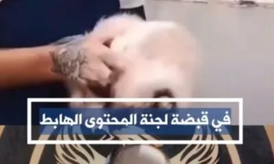 WhatsApp Image 2025 05 07 At 10.41.45 PM