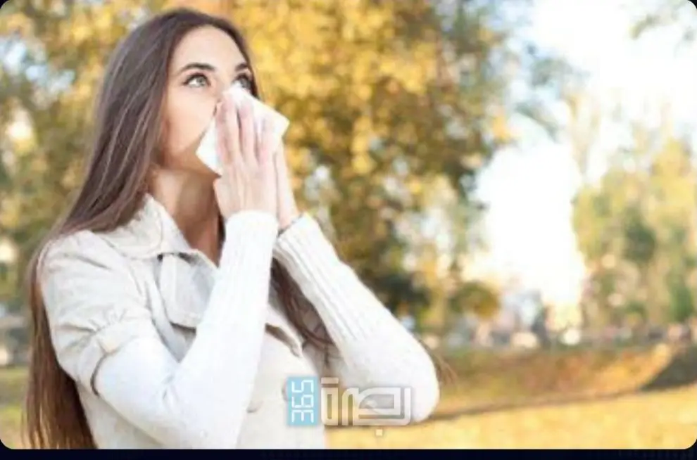 WhatsApp Image 2025 05 10 At 8.01.47 PM