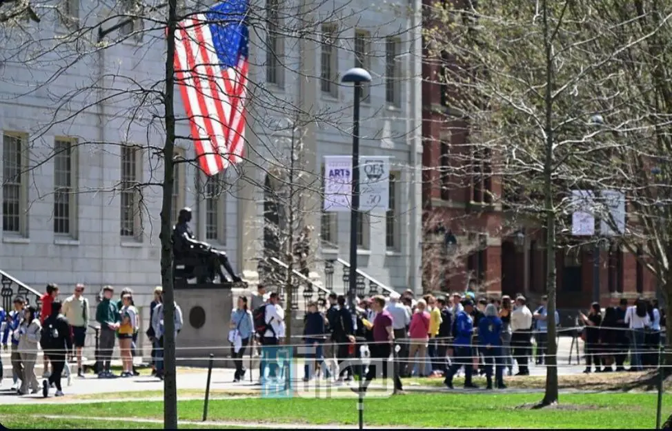 WhatsApp Image 2025 05 23 At 11.16.44 PM