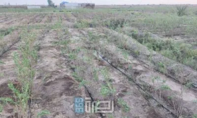 WhatsApp Image 2025 05 27 At 10.00.35 PM